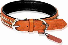 Dog Leather Belts